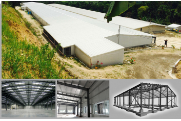 Prefabricated Steel Warehouse Solution